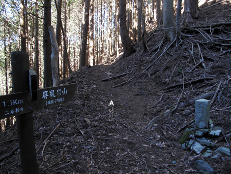 20190121hike (75)